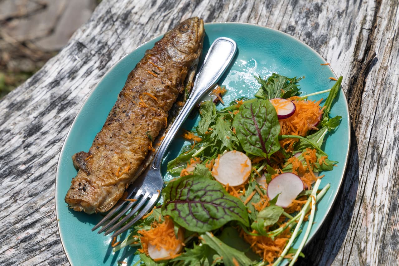 Platzhalterbild für Gebirgs-Saiblinge